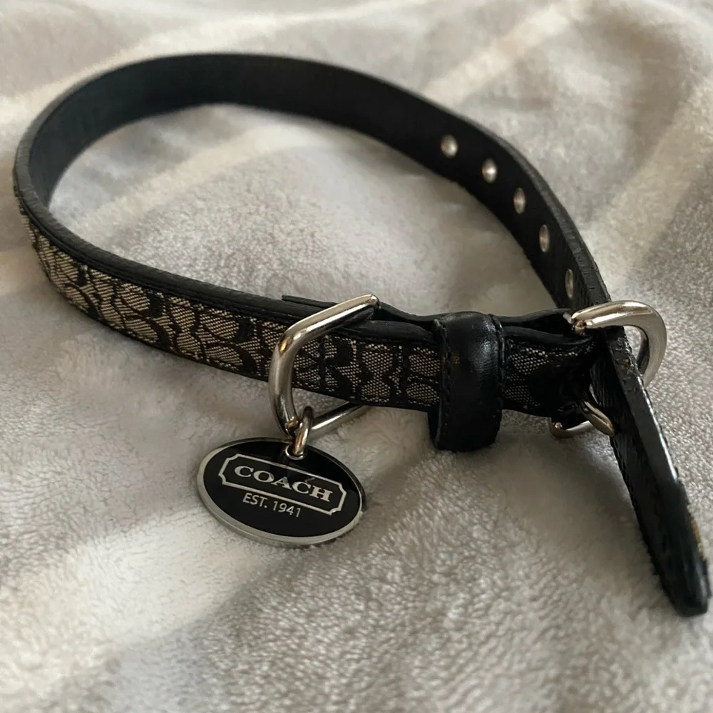 Coach Dog leash and collar